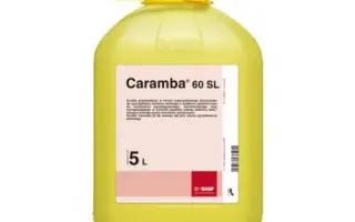 Карамба в.р.