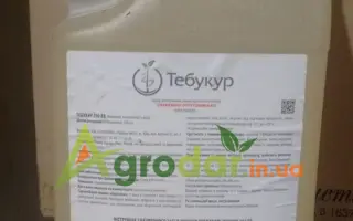 Тебукур 250 мв.е.