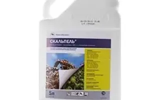 Скальпель к.с.