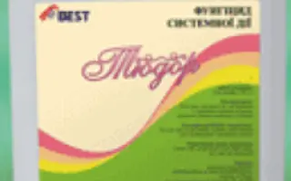 Віват в.с.к.