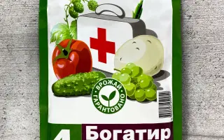 Богатир Екстра