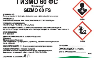 Гизмо 60