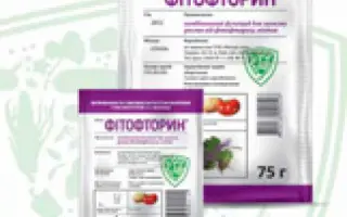 ФИТОФТОРИН