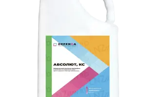 Абсолют к.с.