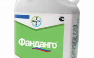 ДеПатата к.с.