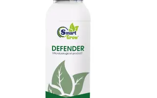 Дефендер к.с.