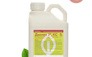 Террасил 250