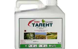 ТАЛЕНТ 250 ЕС