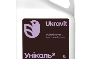 УНІКАЛЬ