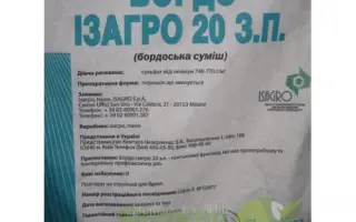 Бордо Ізагро 20 з.п.