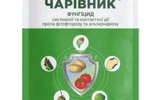 Чарівник з.п.