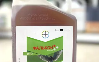 Фалькон 460 ЕC