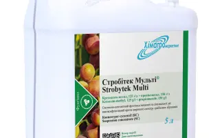 Стробітек Мульті