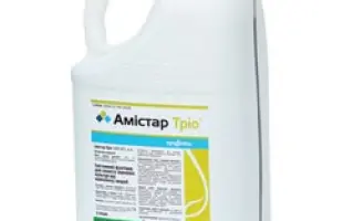 АМІСТАР ТРІО 255 EC