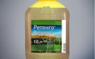 Ретенго