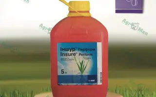 Иншур Профі