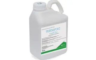 Вінчестер КС