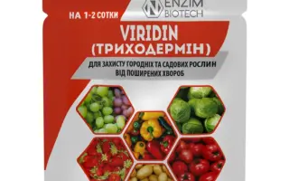 Триходермін БТ