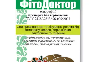 ФитоДоктор (Спорофит)