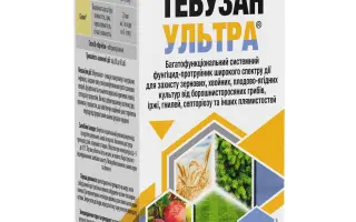 Тебузан Ультра