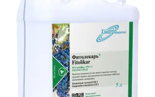 Фитолекарь