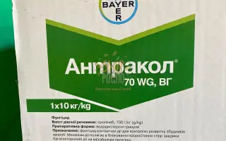 Антракол 70 WG