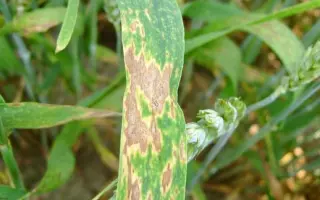 Фумазалил, РК