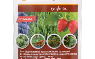 ГОЛД ЭФФЕКТ