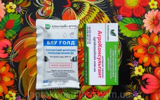 Блакитное Золото