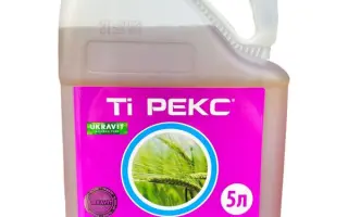 ТерраВін КС