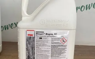 Вінцит Форте