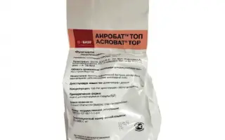 Акробат Топ