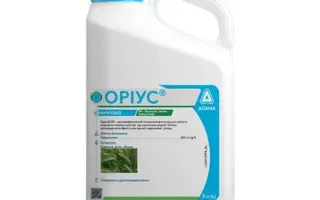 ОРІУС 5 т.к.c.