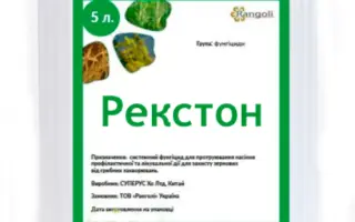 Рекстон