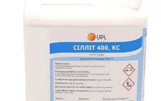 Силлит 400