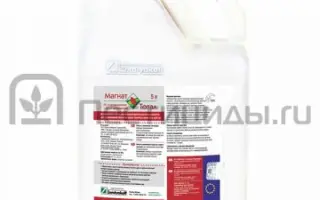 Магнат Тотал КС