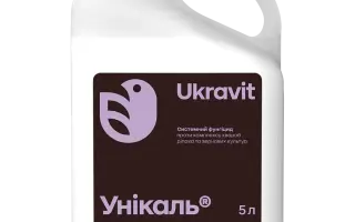 УНІКАЛЬ, КС