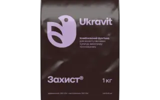 ЗАХИСТ, ЗП (Металаксил,100г/кг + цимоксаніл, 250г/кг)