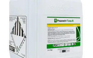 РОДОЛІТ ФОРТЕ