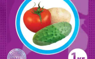 ЦИЛИТЕЛЬ, ЗП