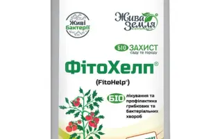 ФИТОХЕЛП