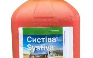 Систіва