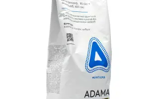 Арева Голд ВГ