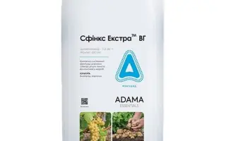 Сфінкс Екстра ВГ