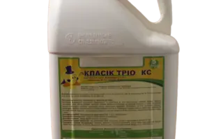 Класік Тріо