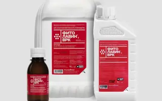 ФИТОЛАВИН