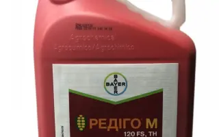 Редіго М 120 FS