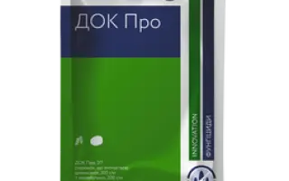 ПРОФІЛАКТИК, ЗП