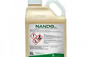 Нандо 500