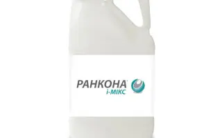 Ранкона И Микс